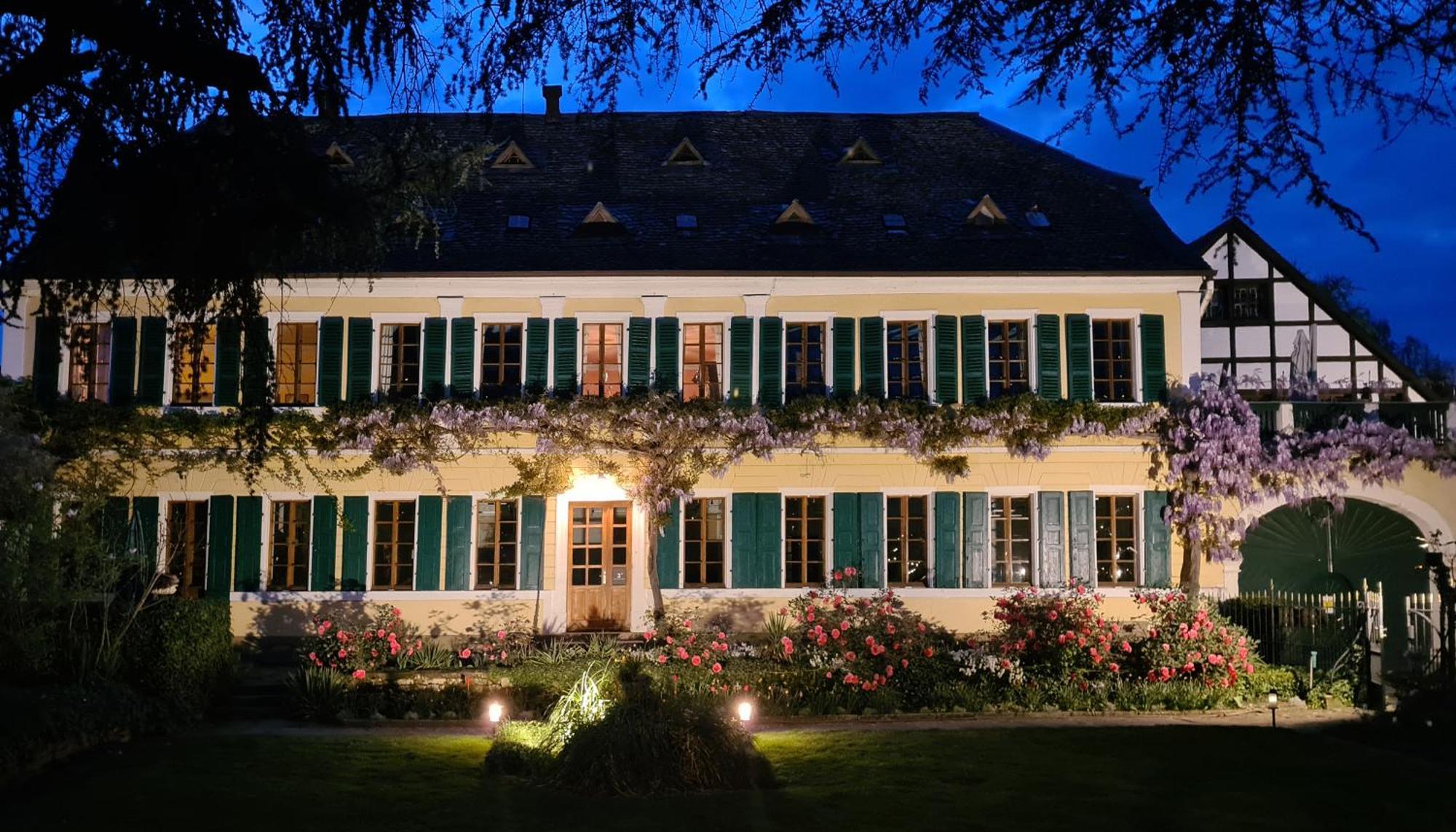 Unterkunft Im Weingut Fitz-Ritter บาดเดือร์คไฮม์ ภายนอก รูปภาพ