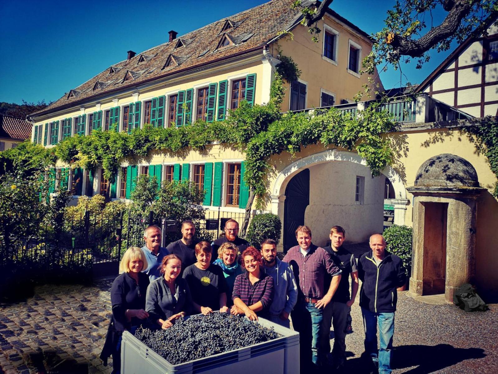 Unterkunft Im Weingut Fitz-Ritter บาดเดือร์คไฮม์ ภายนอก รูปภาพ