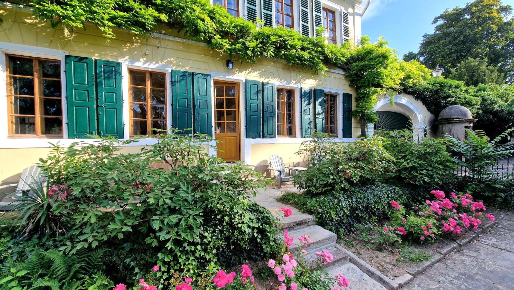 Unterkunft Im Weingut Fitz-Ritter บาดเดือร์คไฮม์ ห้อง รูปภาพ