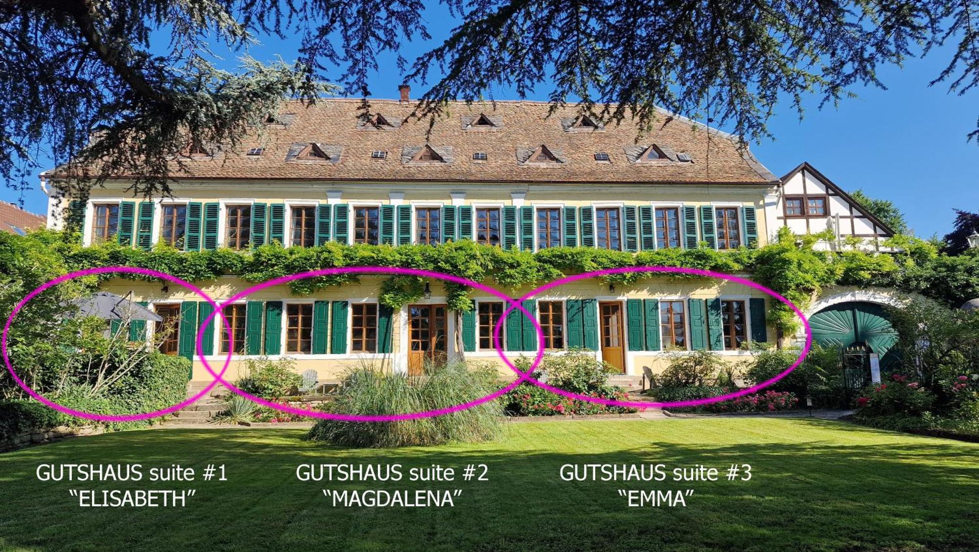 Unterkunft Im Weingut Fitz-Ritter บาดเดือร์คไฮม์ ภายนอก รูปภาพ