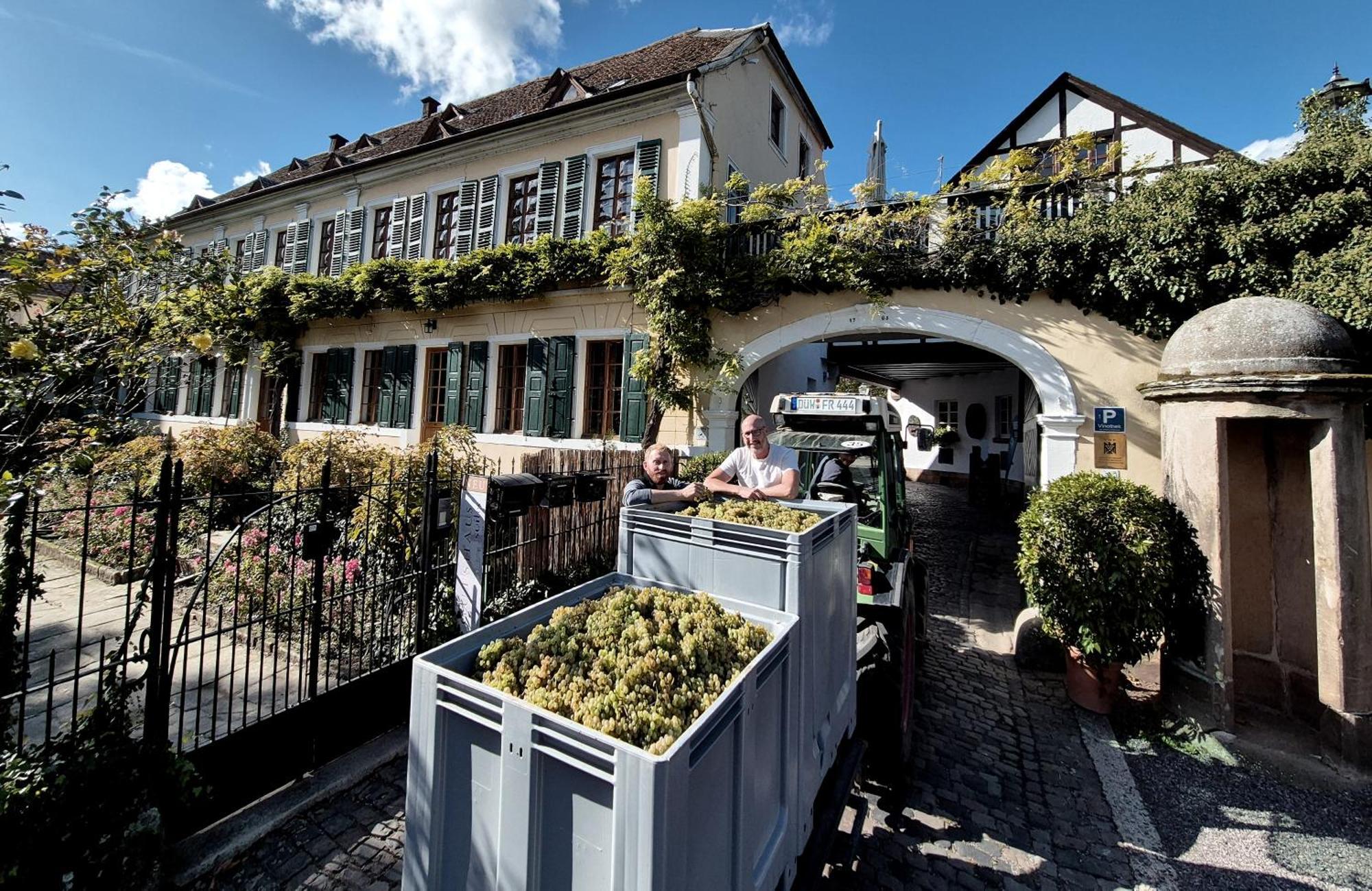 Unterkunft Im Weingut Fitz-Ritter บาดเดือร์คไฮม์ ภายนอก รูปภาพ